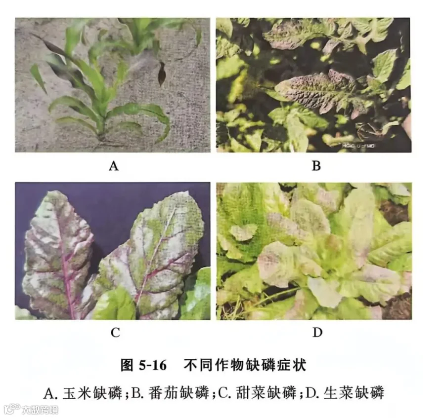 65974b9ec439013524646c1fb4416921.jpg
