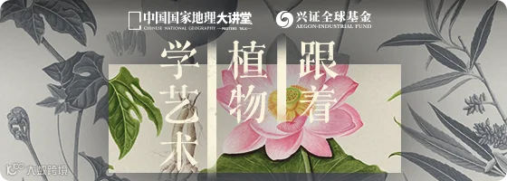560×200.png