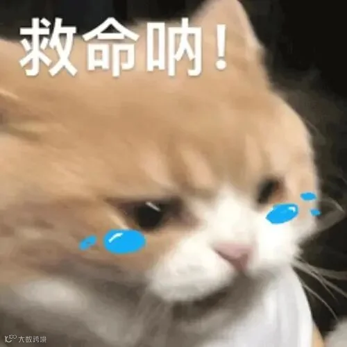 fe076cb43b83e156ea24bee336588140.jpeg