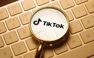 TK观察丨2025 TikTokShop美区半年度总结(深度完整版) - 奇赞