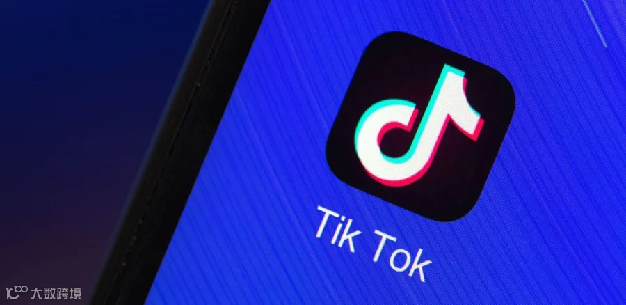 TikTok社会学:短视频如何塑造社会认知?-CSDN博客