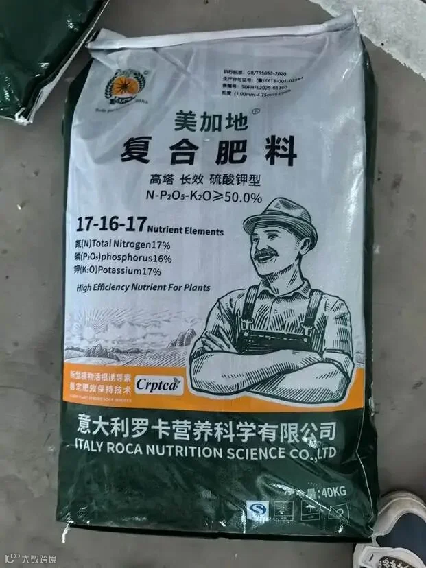 意大利罗卡