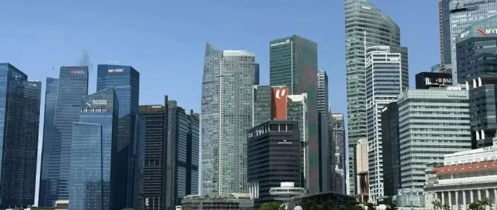 新加坡优惠原产地证规则手册