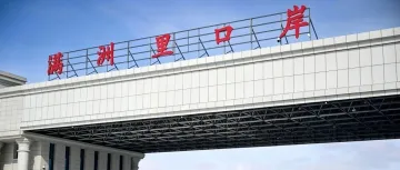 口岸严查 + 10 月最严俄电商法，Ozon/WB 卖家再不调整要亏惨！
