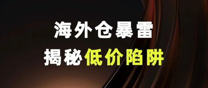四万平<em>海外仓</em>暴雷，揭秘<em>海外仓</em>低价陷阱