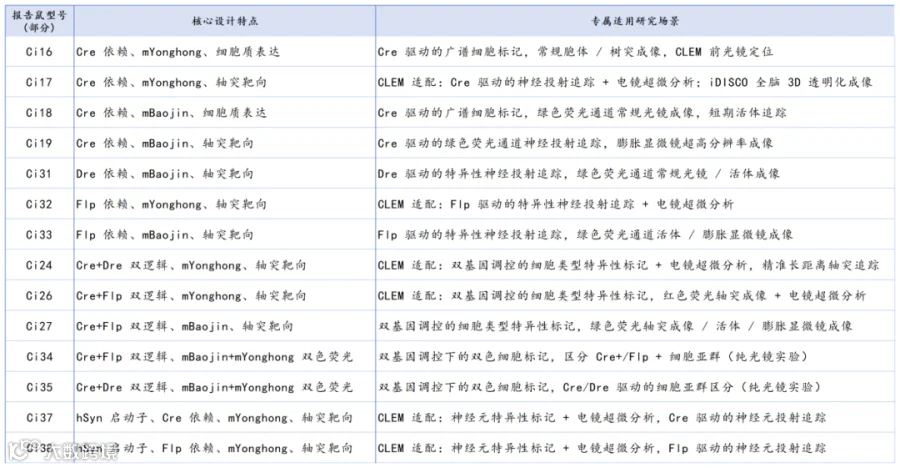Ci系列荧光蛋白性能对比_Sheet2.png