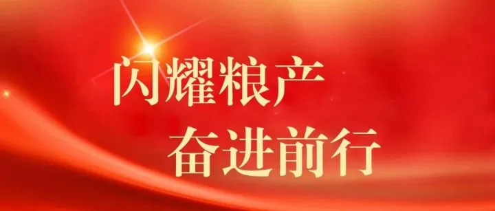 【闪耀粮产 奋进前行】高菲：下沉一线淬初心 实干赋能促发展