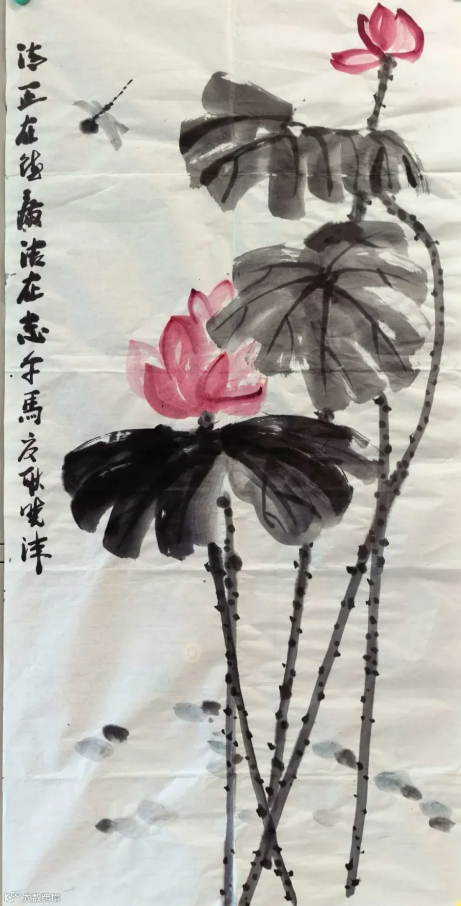 图片