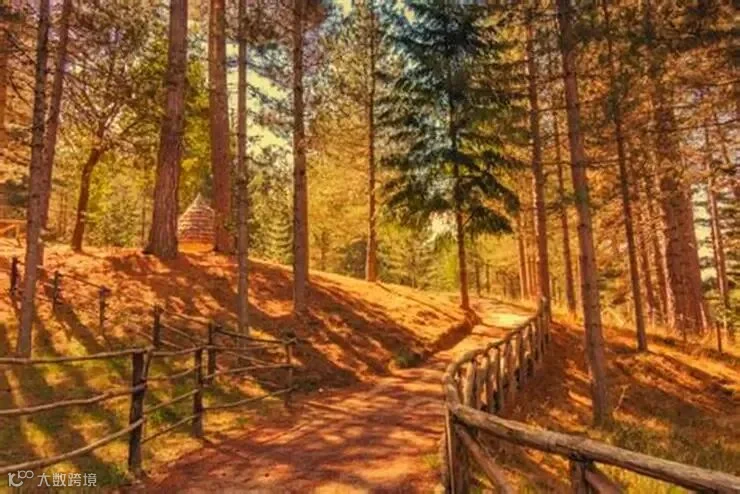 The Sila National Park: The Unspoiled Beauty of Calabrian Nature. » Il ...