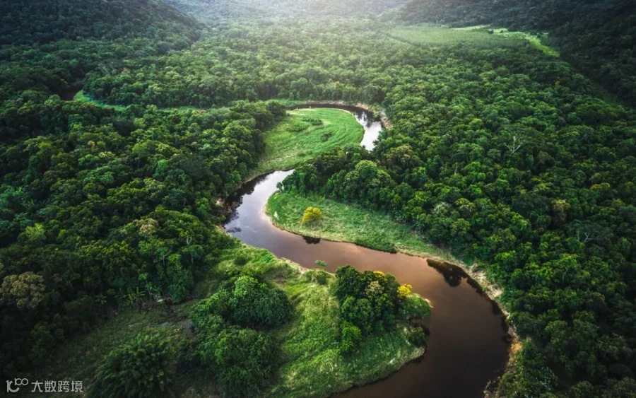 Amazon Rainforest Wallpaper (69+ images)