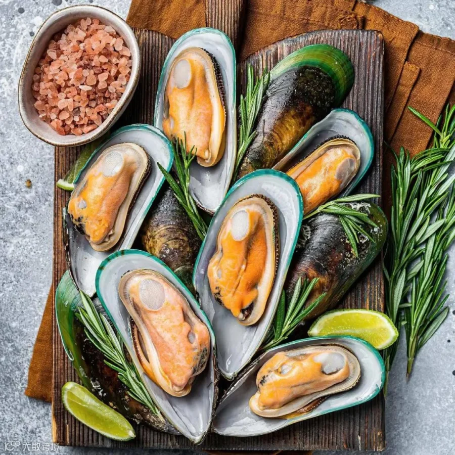 Large New Zealand Half Shell Mussels | Premium Frozen Seafood – OceanZen