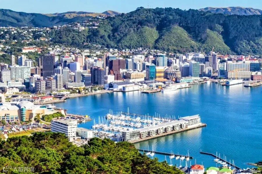 What's the Best Time to Visit New Zealand