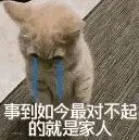 1b39d7f5-2e5f-41a3-b263-95ae1ffd3edc.png