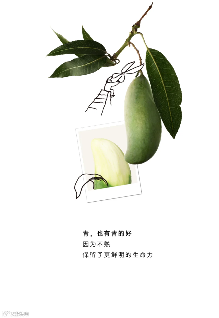 插图