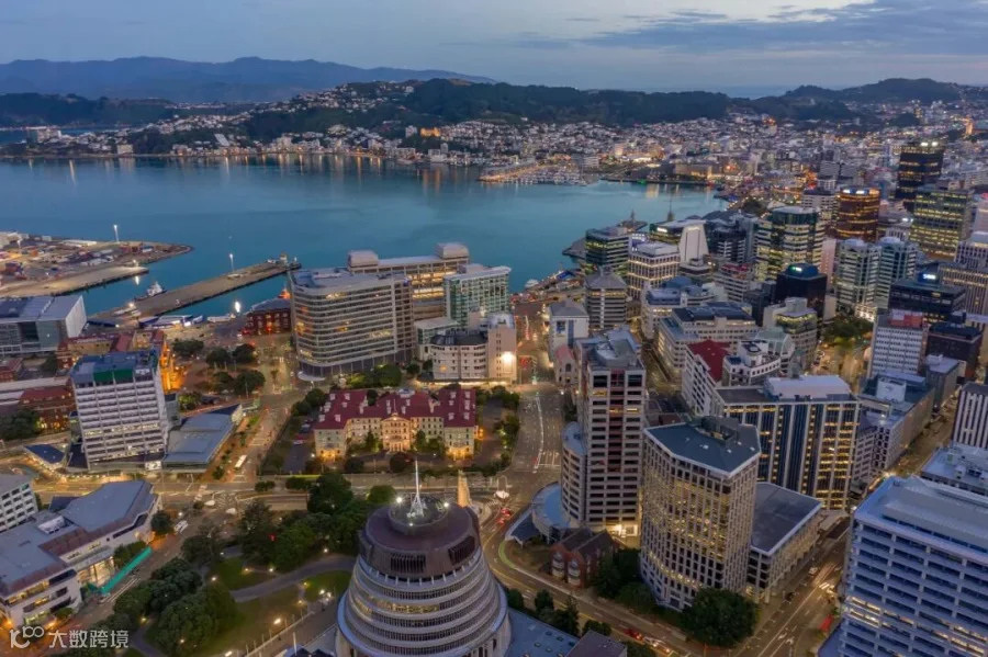 AI Attitudes in New Zealand