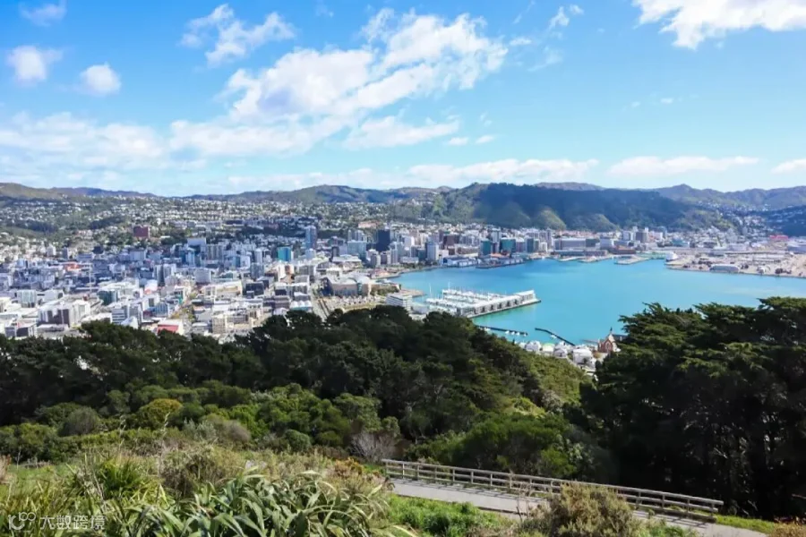 Mount Victoria Lookout: How to Get the Best Views of Wellington