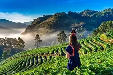 Chiang Mai Things To Do, Chiang Mai Thailand – HKLT