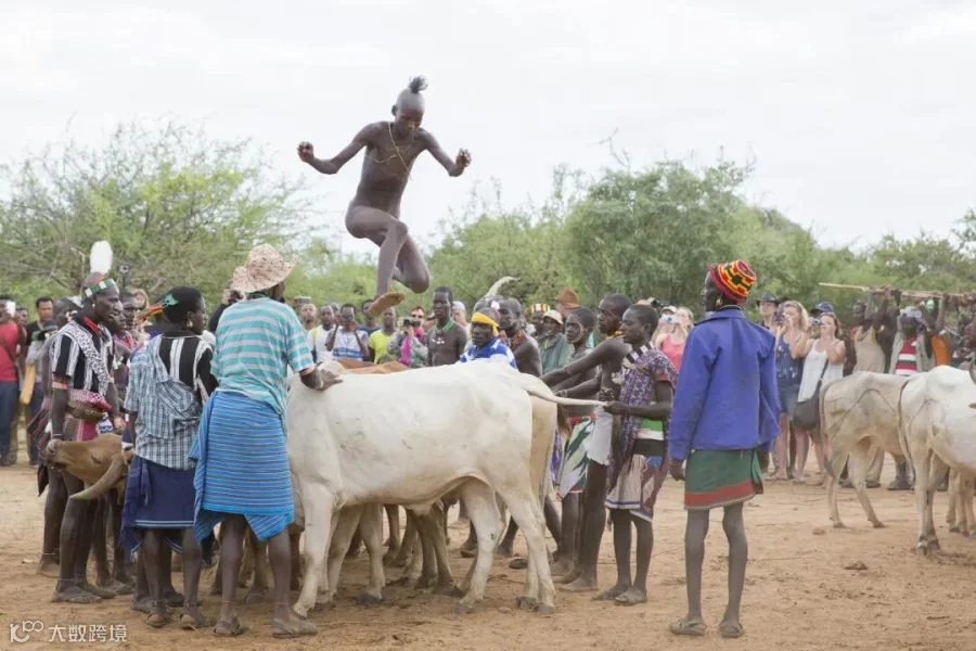 Hamer Tribe Bull Jumping