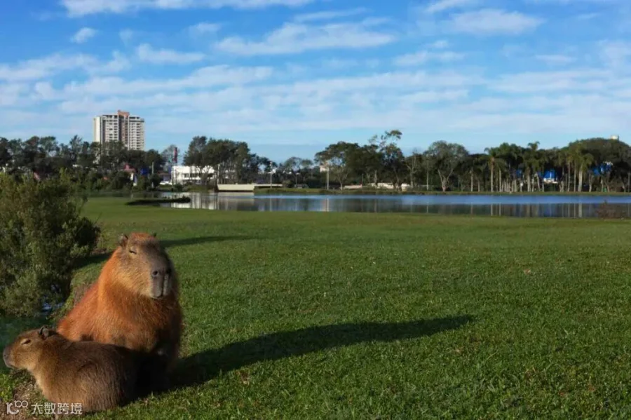 17 Fun Things to Do in Curitiba, Brazil • I Heart Brazil