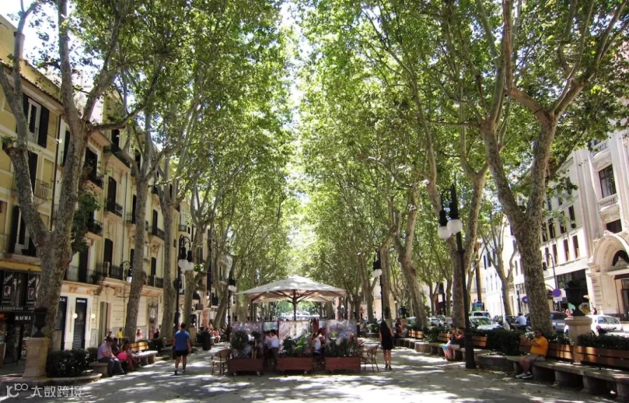 Best things to see in Palma de Mallorca