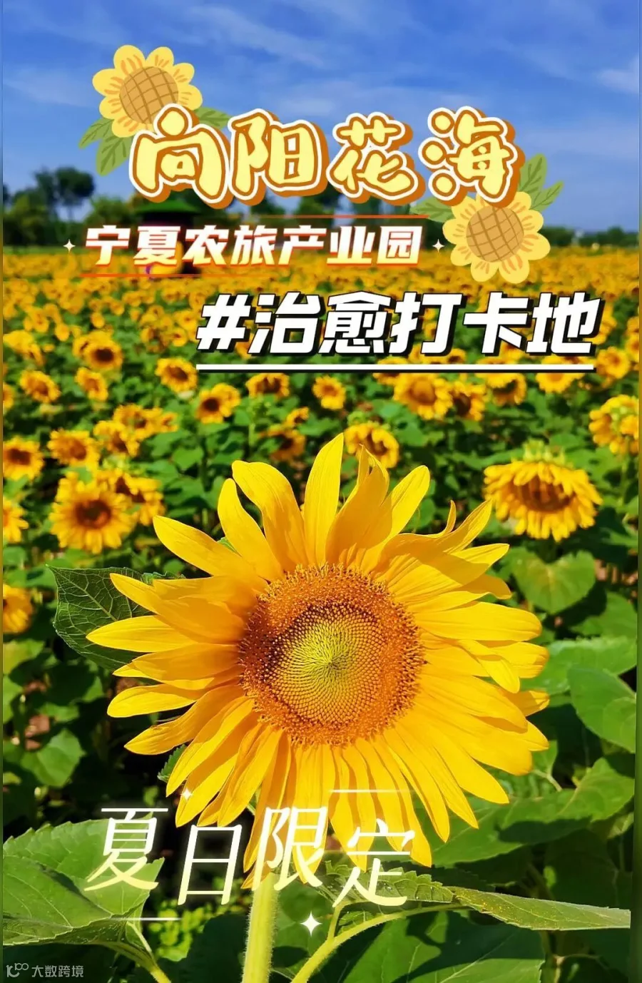 7月15日-封面.jpg
