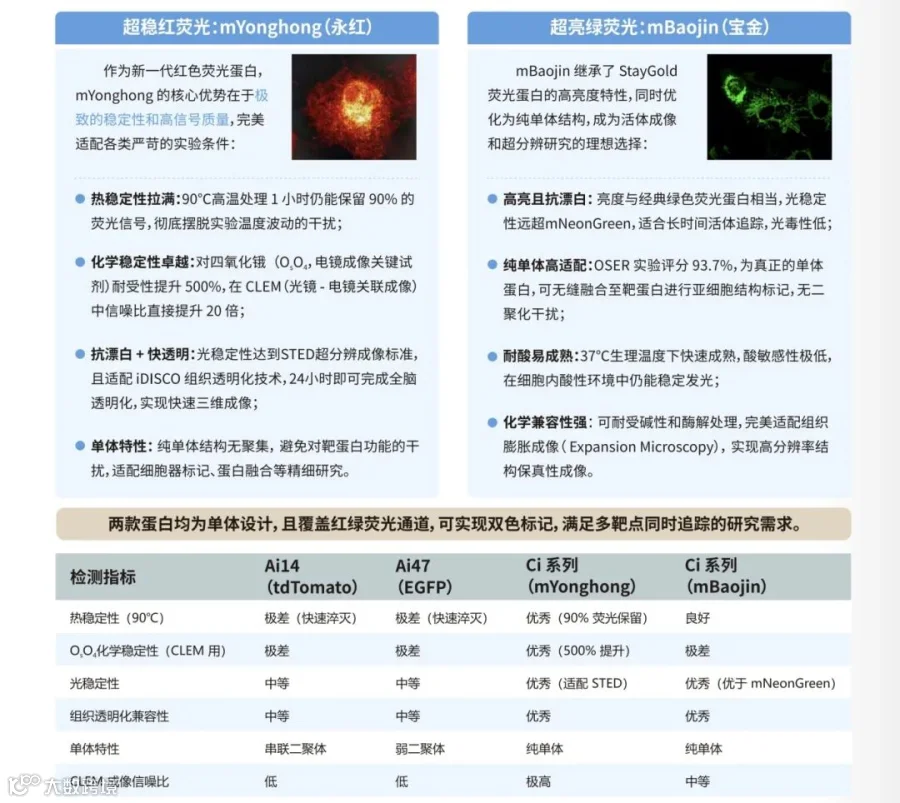 7b61a48afafe811a24ae9eedd757a965.jpg