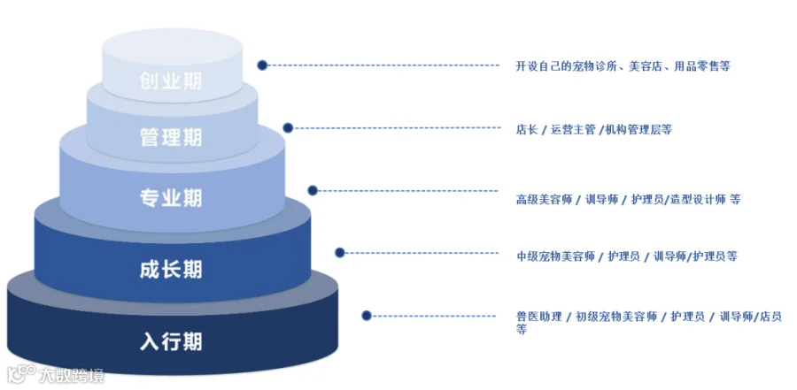 图片 27.png