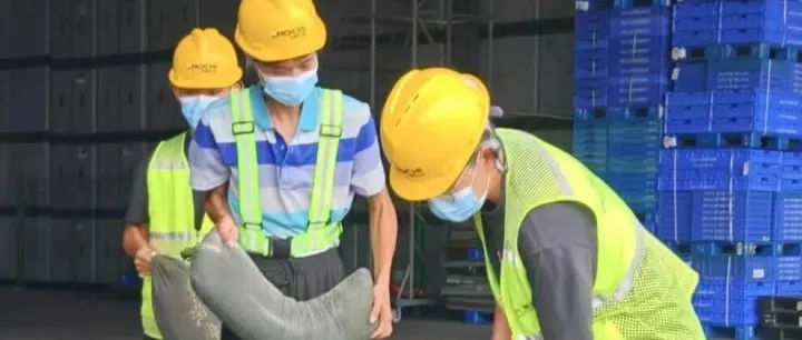 闻汛而动，严阵以待｜兆驰供应链全力筑牢汛期安全防线！