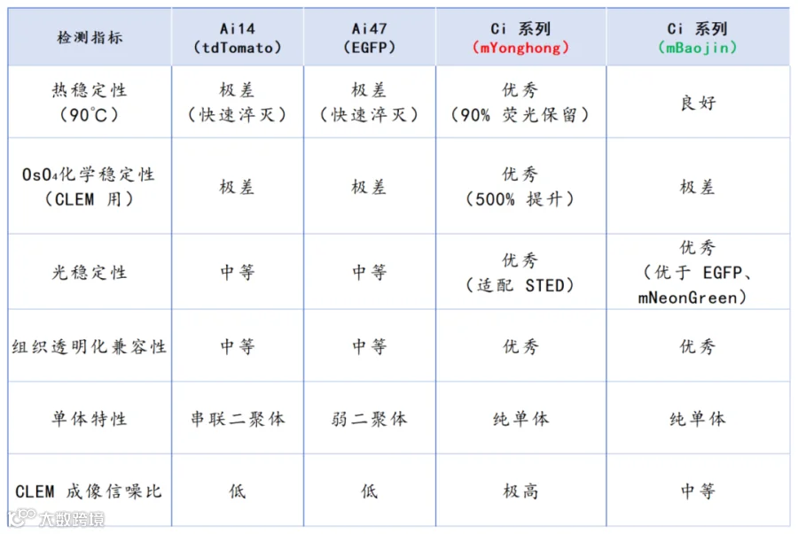 Ci系列荧光蛋白性能对比_Sheet1(1).png