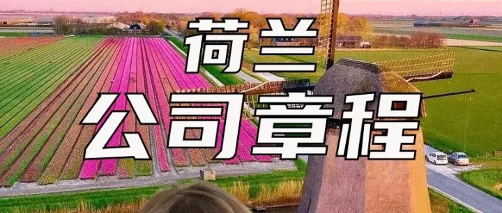 荷兰公司章程全解析：读懂这本“公司宪法”，跨境合作不再踩坑