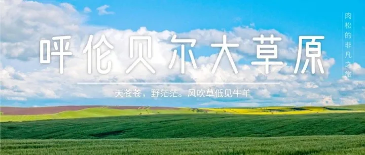 【呼伦贝尔·哈尔滨】8月1日自驾呼伦贝尔+阿尔山+乌拉盖+东北8日游，驾游最美草原·阿尔山·满洲里·根河，避暑哈尔滨沈阳，爽呆了