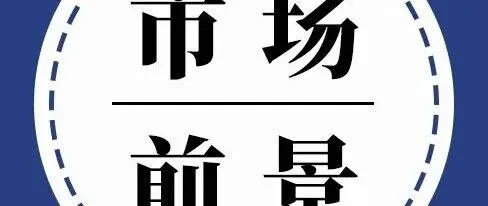 2026年中国异辛酸行业供需情况、市场规模、竞争格局及趋势分析：高端领域替代进程加快，行业发展前景向好[图]