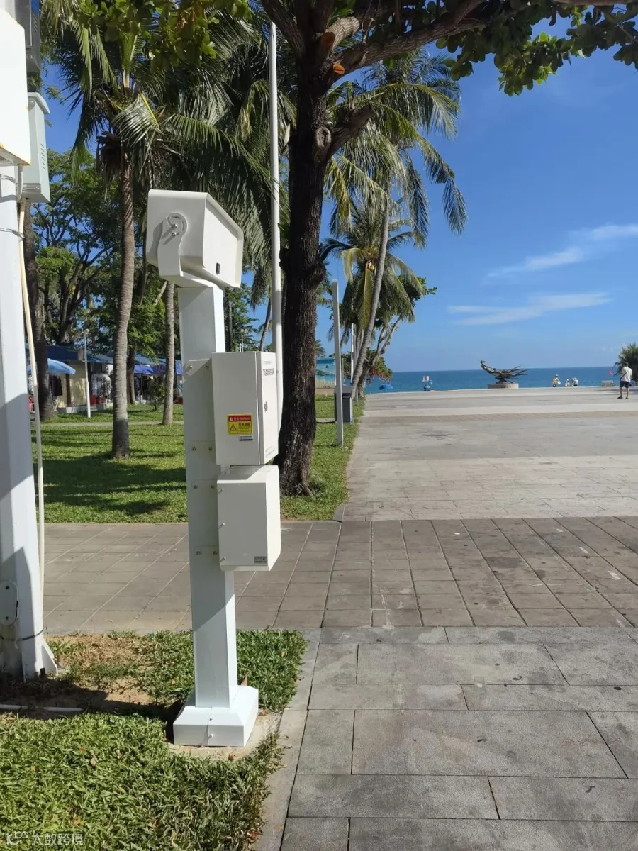 D.jpg