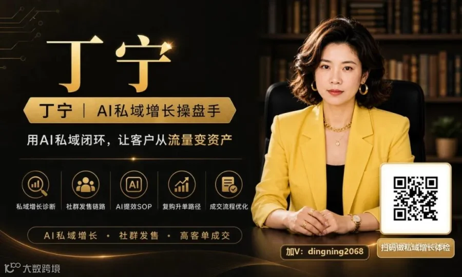 丁宁私域增长体检