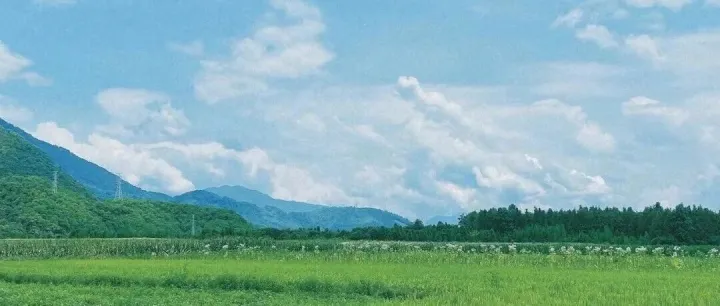 【一图读懂】| 青岛市建设工程消防验收、备案抽查服务明白纸