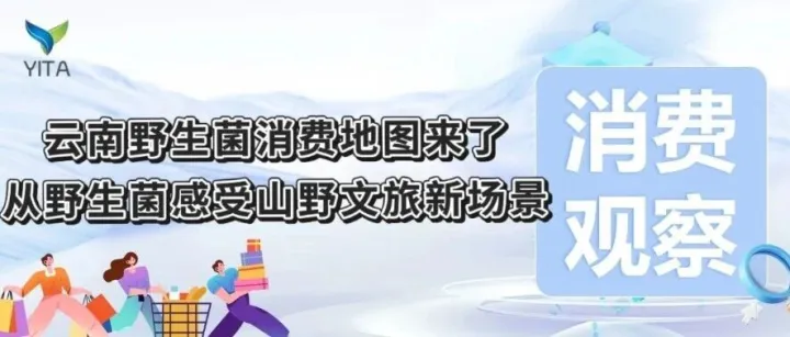 消费观察|云南野生菌消费地图来了！从野生菌感受山野文旅新场景