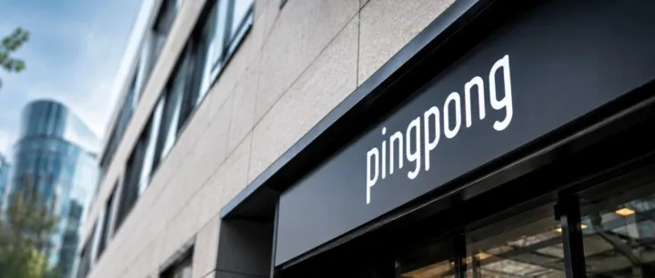PingPong欧洲公司被罚！