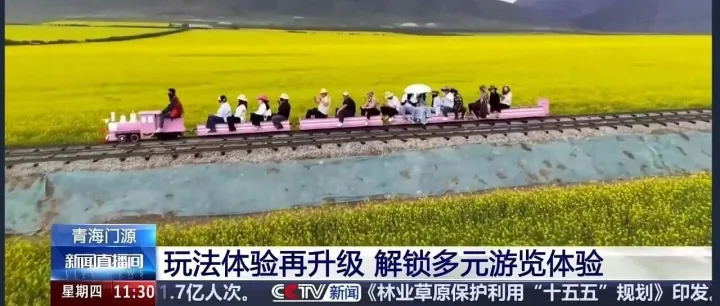 中国物流资产所属资源科技参建青海门源百里花海项目成功落地