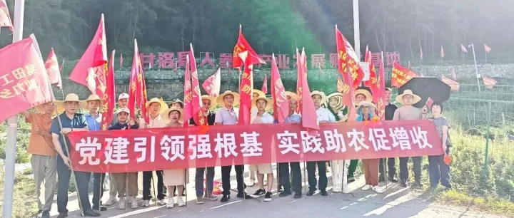 “党建引领·实践助农”甘洛人参果基地农耕实践活动圆满举行