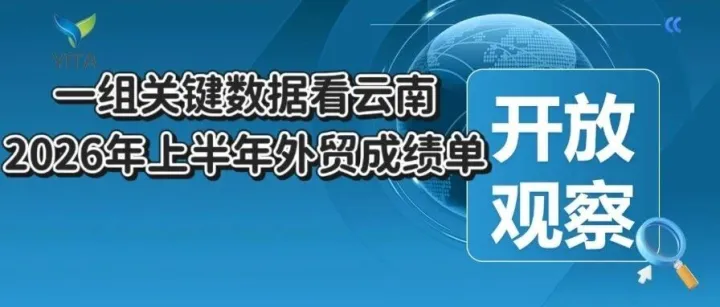 开放观察|一组关键数据看云南2026年上半年外贸成绩单