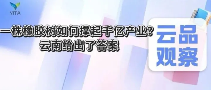 云品观察|一株橡胶树如何撑起千亿产业？云南给出了答案