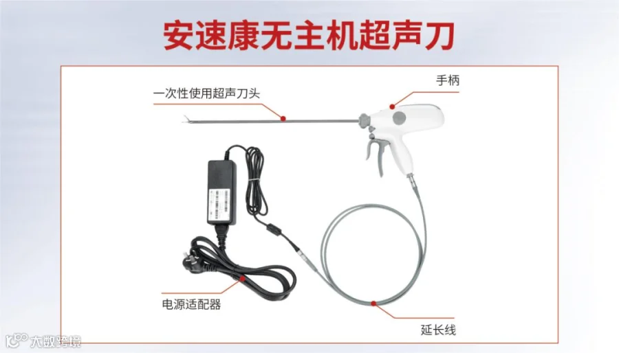 无主机优势示意图