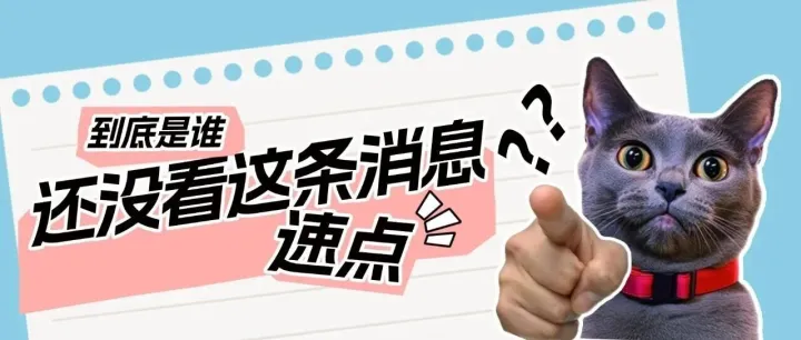 7月27日中越边境口岸最新通关资讯