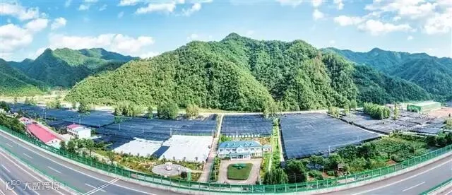 文章配图-2