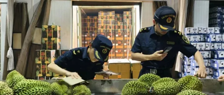 广西凭祥：南疆国门榴莲飘香