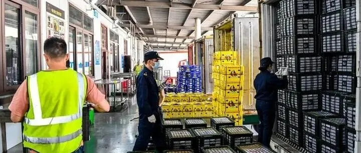 未来五年，更多全球“好物”走进生活