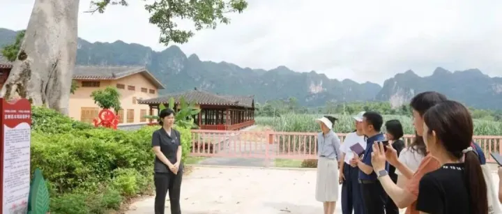 广西<em>崇左</em>：通商脉 护文脉 守绿脉