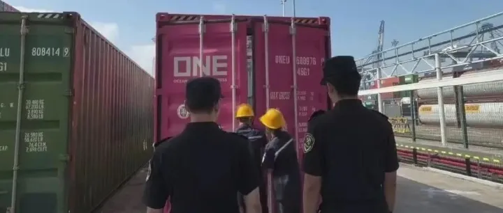 危货瞒报！深圳海关在一ONE大柜内查获夹藏危险品！