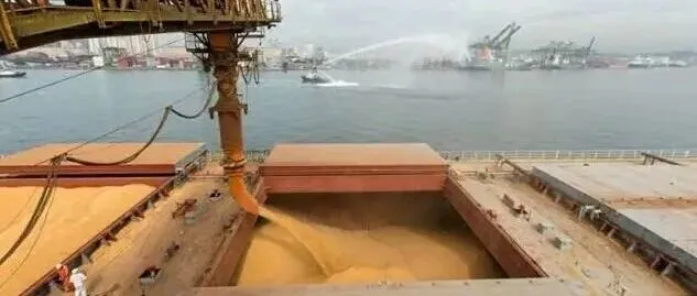 全球谷物航运市场：亚速海停摆、霍尔木兹航线重构 谷物化肥海运市场迎变局
