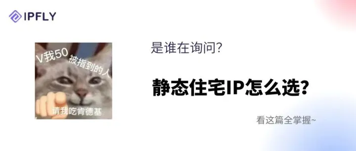 疯狂星期四，吃着肯德基来学静态住宅IP怎么选？